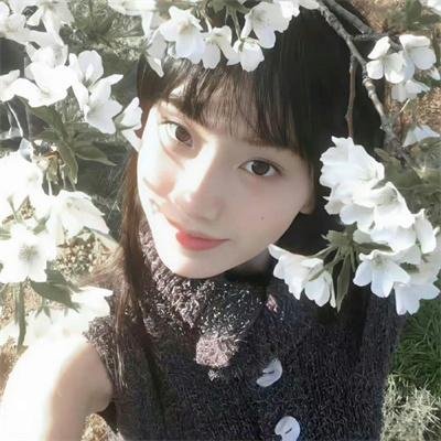 夏日菊花茶前传